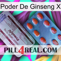 Ginseng Power X 36